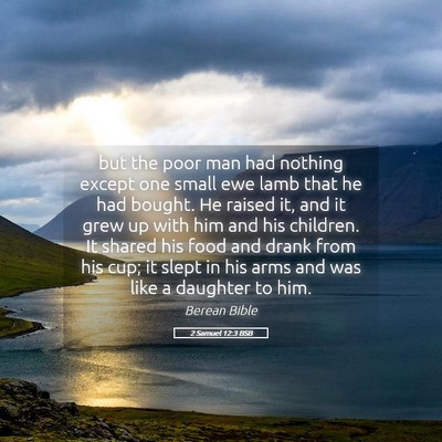 Picture 05 - 2 Samuel 12:3 BSB - but the poor man had nothing except one small ewe - Bible Verse Picture