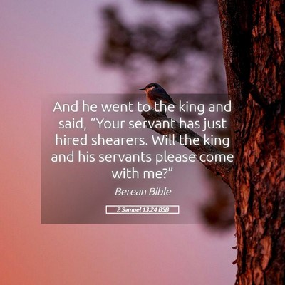 Picture 05 - 2 Samuel 13:24 BSB - And he went to the king and said, “Your servant - Bible Verse Picture