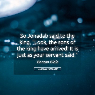 Picture 05 - 2 Samuel 13:35 BSB - So Jonadab said to the king, “Look, the sons of - Bible Verse Picture