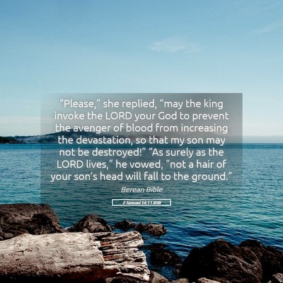 Picture 05 - 2 Samuel 14:11 BSB - “Please,” she replied, “may the king invoke - Bible Verse Picture