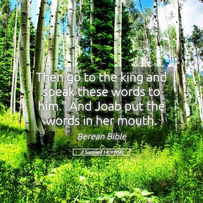 Picture 05 - 2 Samuel 14:3 BSB - Then go to the king and speak these words to - Bible Verse Picture