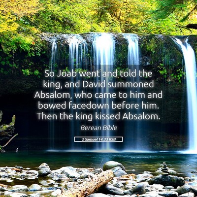 Picture 05 - 2 Samuel 14:33 BSB - So Joab went and told the king, and David - Bible Verse Picture