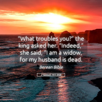 Picture 05 - 2 Samuel 14:5 BSB - “What troubles you?” the king asked her. - Bible Verse Picture