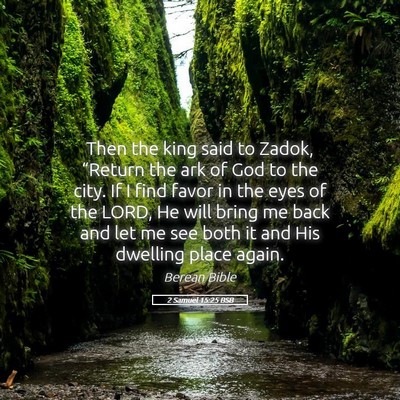 Picture 05 - 2 Samuel 15:25 BSB - Then the king said to Zadok, “Return the ark of - Bible Verse Picture