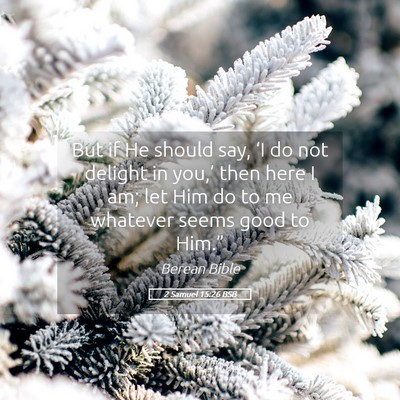 Picture 05 - 2 Samuel 15:26 BSB - But if He should say, ‘I do not delight in - Bible Verse Picture