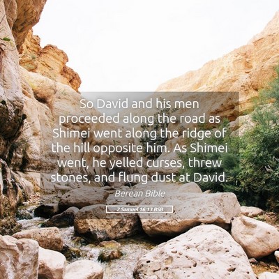 Picture 05 - 2 Samuel 16:13 BSB - So David and his men proceeded along the road as - Bible Verse Picture