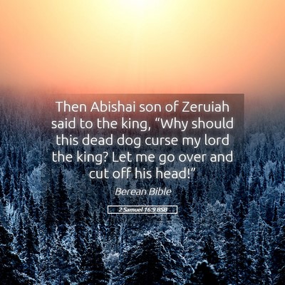 Picture 05 - 2 Samuel 16:9 BSB - Then Abishai son of Zeruiah said to the king, - Bible Verse Picture