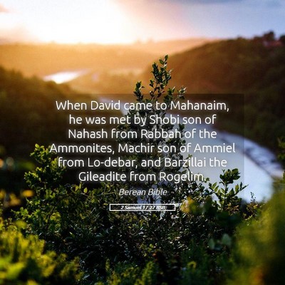 Picture 05 - 2 Samuel 17:27 BSB - When David came to Mahanaim, he was met by Shobi - Bible Verse Picture