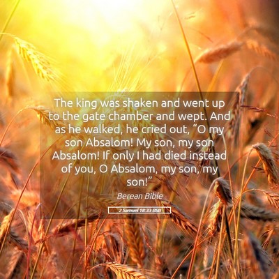 Picture 05 - 2 Samuel 18:33 BSB - The king was shaken and went up to the gate - Bible Verse Picture