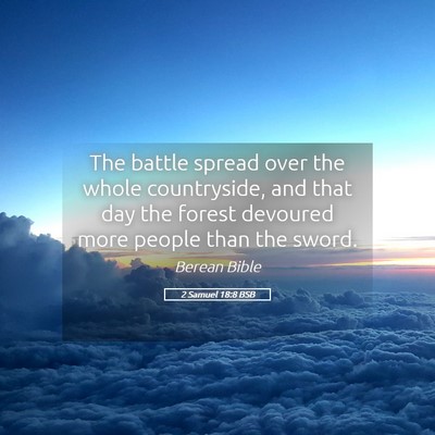 Picture 05 - 2 Samuel 18:8 BSB - The battle spread over the whole countryside, and - Bible Verse Picture
