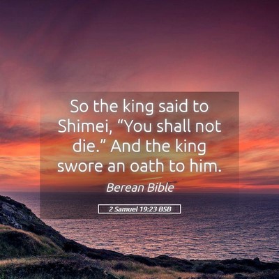 Picture 05 - 2 Samuel 19:23 BSB - So the king said to Shimei, “You shall not - Bible Verse Picture