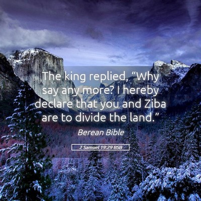 Picture 05 - 2 Samuel 19:29 BSB - The king replied, “Why say any more? I hereby - Bible Verse Picture