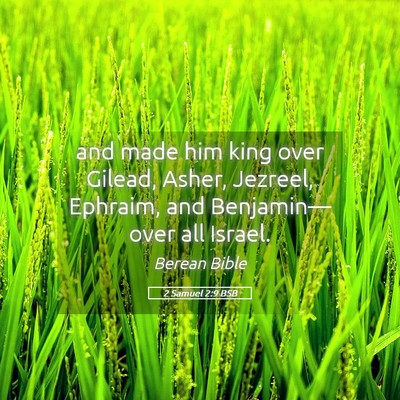 Picture 05 - 2 Samuel 2:9 BSB - and made him king over Gilead, Asher, Jezreel, - Bible Verse Picture