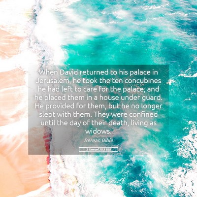 Picture 05 - 2 Samuel 20:3 BSB - When David returned to his palace in Jerusalem, - Bible Verse Picture