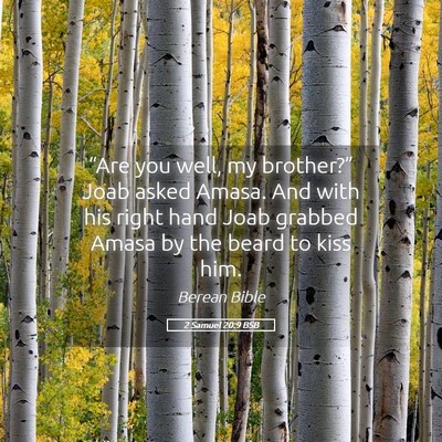 Picture 05 - 2 Samuel 20:9 BSB - “Are you well, my brother?” Joab asked Amasa. - Bible Verse Picture