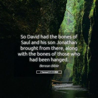 Picture 05 - 2 Samuel 21:13 BSB - So David had the bones of Saul and his son - Bible Verse Picture