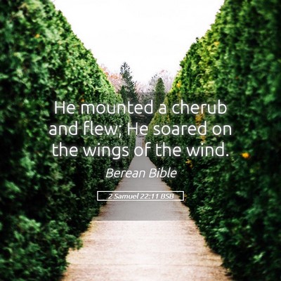 Picture 05 - 2 Samuel 22:11 BSB - He mounted a cherub and flew; He soared on the - Bible Verse Picture