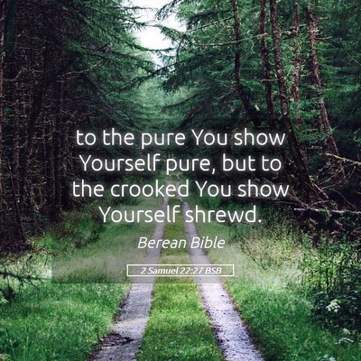 Picture 05 - 2 Samuel 22:27 BSB - to the pure You show Yourself pure, but to the - Bible Verse Picture