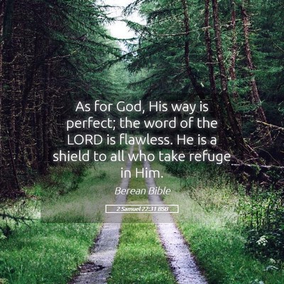Picture 05 - 2 Samuel 22:31 BSB - As for God, His way is perfect; the word of the - Bible Verse Picture