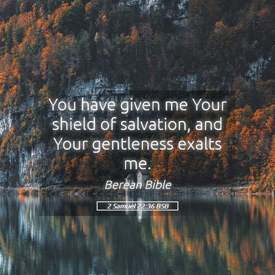 Picture 05 - 2 Samuel 22:36 BSB - You have given me Your shield of salvation, and - Bible Verse Picture