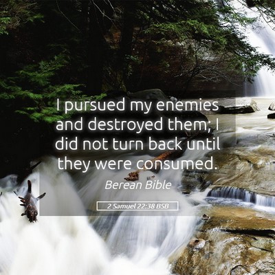 Picture 05 - 2 Samuel 22:38 BSB - I pursued my enemies and destroyed them; I did - Bible Verse Picture
