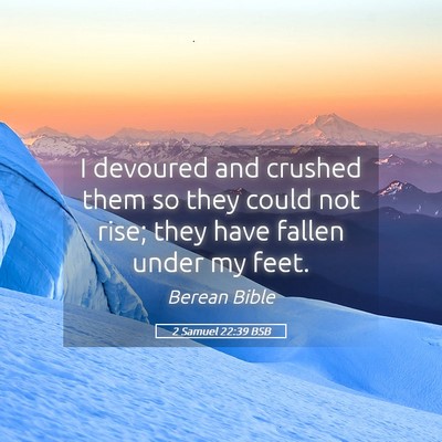 Picture 05 - 2 Samuel 22:39 BSB - I devoured and crushed them so they could not - Bible Verse Picture
