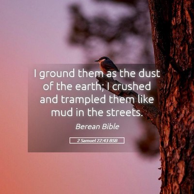 Picture 05 - 2 Samuel 22:43 BSB - I ground them as the dust of the earth; I crushed - Bible Verse Picture