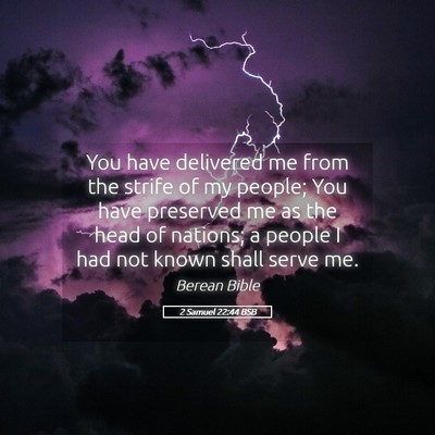 Picture 05 - 2 Samuel 22:44 BSB - You have delivered me from the strife of my - Bible Verse Picture