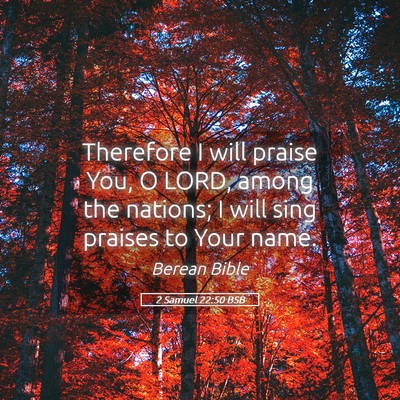 Picture 05 - 2 Samuel 22:50 BSB - Therefore I will praise You, O LORD, among the - Bible Verse Picture
