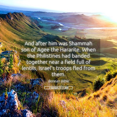 Picture 05 - 2 Samuel 23:11 BSB - And after him was Shammah son of Agee the - Bible Verse Picture