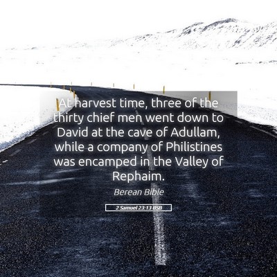 Picture 05 - 2 Samuel 23:13 BSB - At harvest time, three of the thirty chief men - Bible Verse Picture