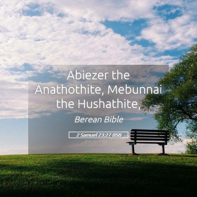 Picture 05 - 2 Samuel 23:27 BSB - Abiezer the Anathothite, Mebunnai the - Bible Verse Picture
