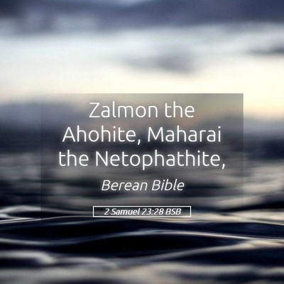 Picture 05 - 2 Samuel 23:28 BSB - Zalmon the Ahohite, Maharai the - Bible Verse Picture