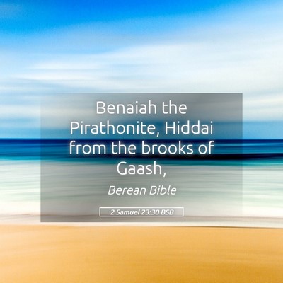 Picture 05 - 2 Samuel 23:30 BSB - Benaiah the Pirathonite, Hiddai from the brooks - Bible Verse Picture