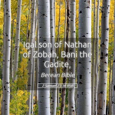 Picture 05 - 2 Samuel 23:36 BSB - Igal son of Nathan of Zobah, Bani the - Bible Verse Picture