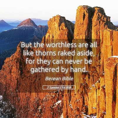 Picture 05 - 2 Samuel 23:6 BSB - But the worthless are all like thorns raked - Bible Verse Picture