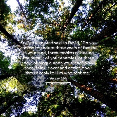 Picture 05 - 2 Samuel 24:13 BSB - So Gad went and said to David, “Do you choose - Bible Verse Picture