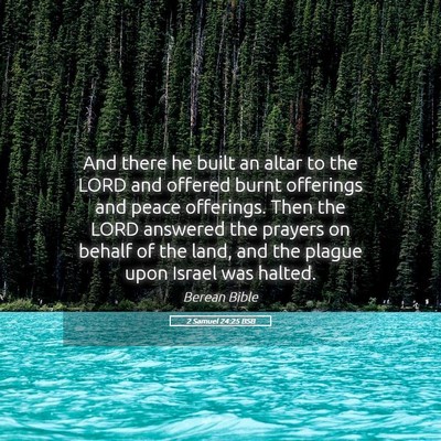 Picture 05 - 2 Samuel 24:25 BSB - And there he built an altar to the LORD and - Bible Verse Picture