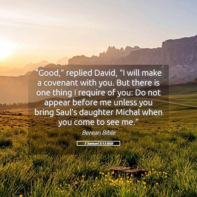 Picture 05 - 2 Samuel 3:13 BSB - “Good,” replied David, “I will make a - Bible Verse Picture