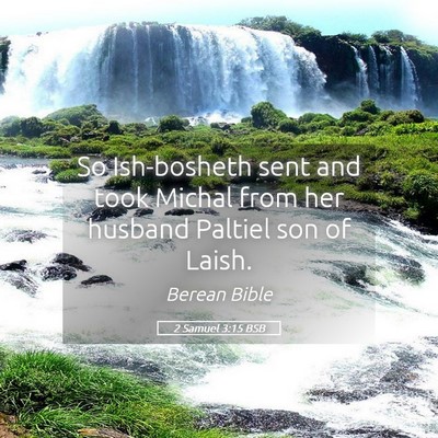 Picture 05 - 2 Samuel 3:15 BSB - So Ish-bosheth sent and took Michal from her - Bible Verse Picture