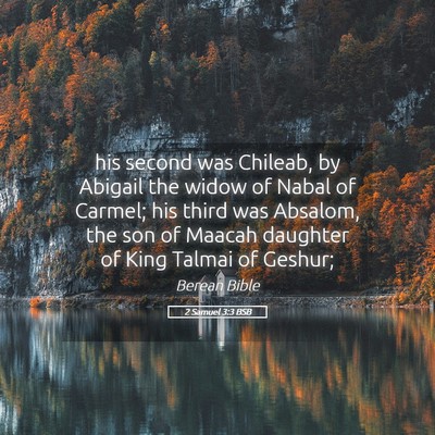 Picture 05 - 2 Samuel 3:3 BSB - his second was Chileab, by Abigail the widow of - Bible Verse Picture