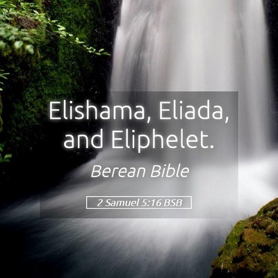 Picture 05 - 2 Samuel 5:16 BSB - Elishama, Eliada, and - Bible Verse Picture