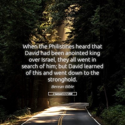Picture 05 - 2 Samuel 5:17 BSB - When the Philistines heard that David had been - Bible Verse Picture