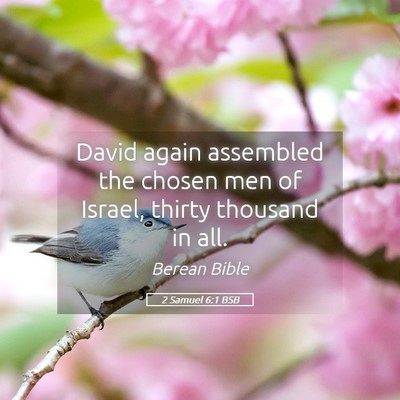 Picture 05 - 2 Samuel 6:1 BSB - David again assembled the chosen men of Israel, - Bible Verse Picture
