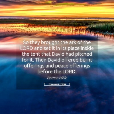 Picture 05 - 2 Samuel 6:17 BSB - So they brought the ark of the LORD and set it in - Bible Verse Picture