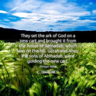 Picture 05 - 2 Samuel 6:3 BSB - They set the ark of God on a new cart and brought - Bible Verse Picture