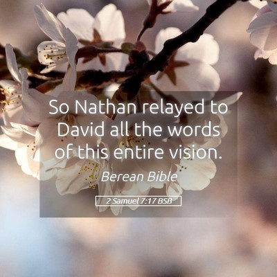 Picture 05 - 2 Samuel 7:17 BSB - So Nathan relayed to David all the words of this - Bible Verse Picture