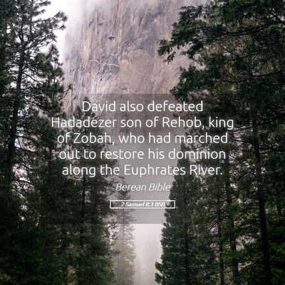Picture 05 - 2 Samuel 8:3 BSB - David also defeated Hadadezer son of Rehob, king - Bible Verse Picture