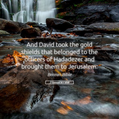 Picture 05 - 2 Samuel 8:7 BSB - And David took the gold shields that belonged to - Bible Verse Picture