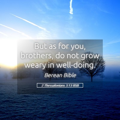 Picture 05 - 2 Thessalonians 3:13 BSB - But as for you, brothers, do not grow weary in - Bible Verse Picture
